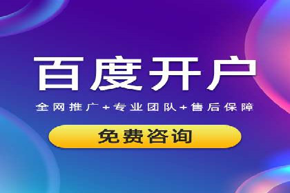 sem推广竞价策略的五大要点及成功案例解读